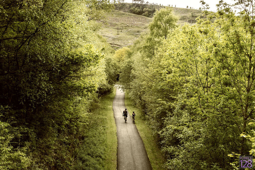 Afan Forest Park 