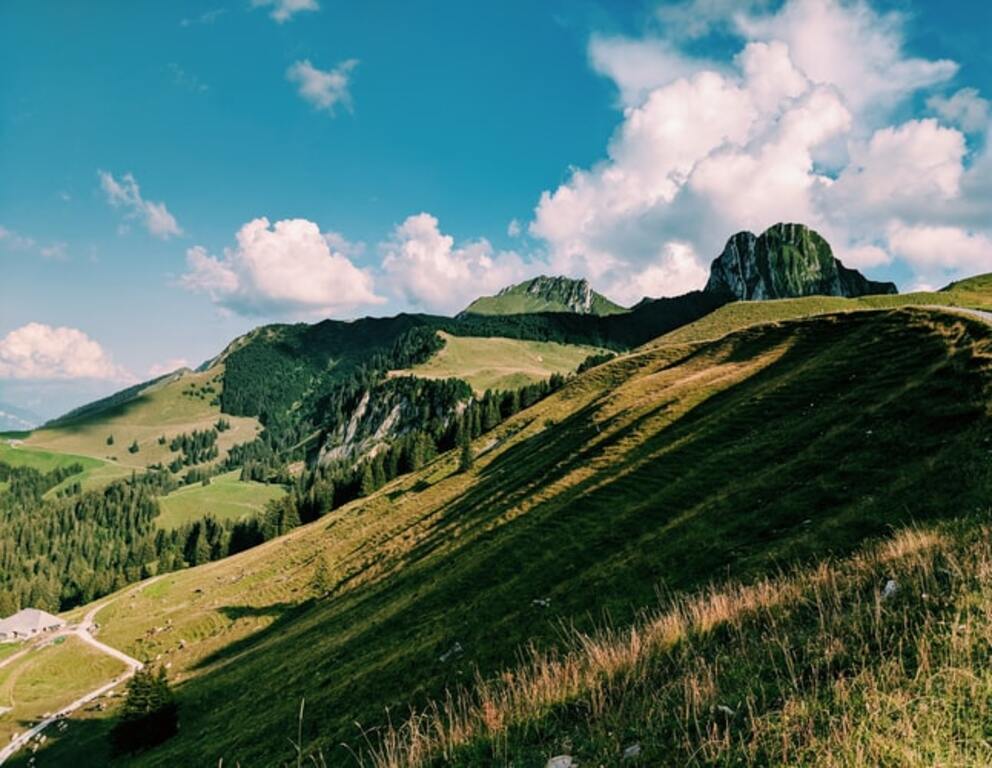Grass hill
