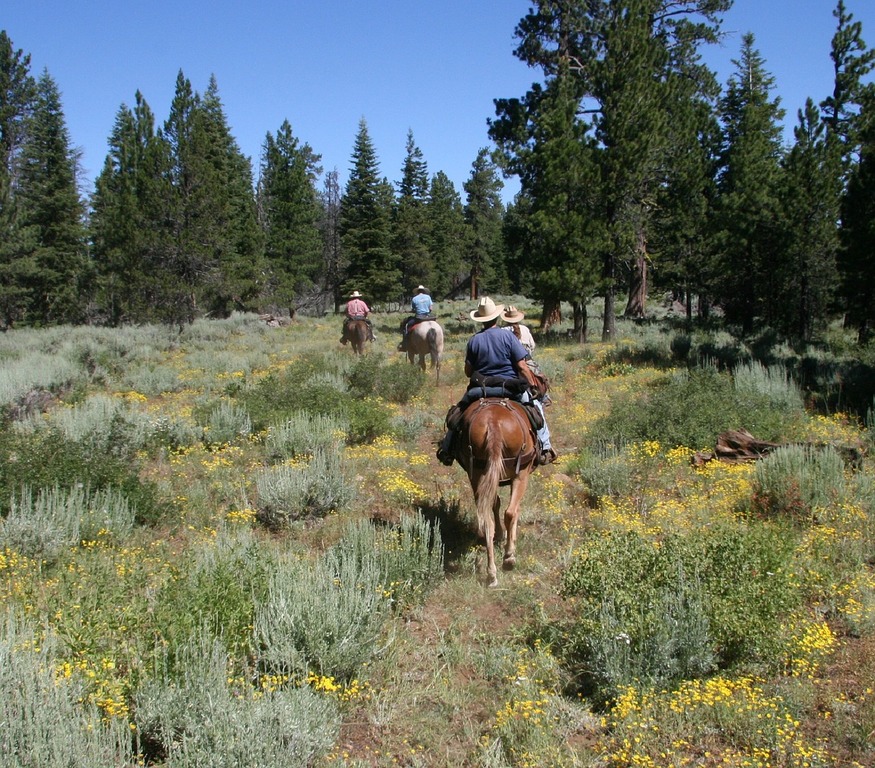 horseback rie