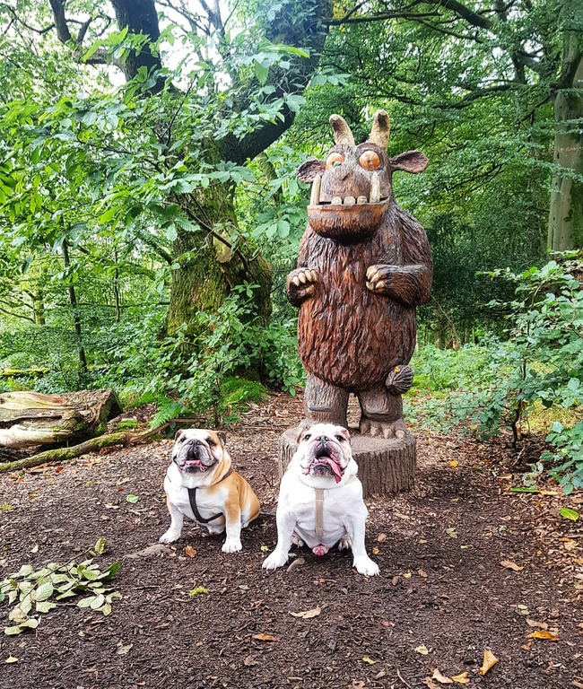 things to do in brentwood | have a fun time with kids at gruffalo trail