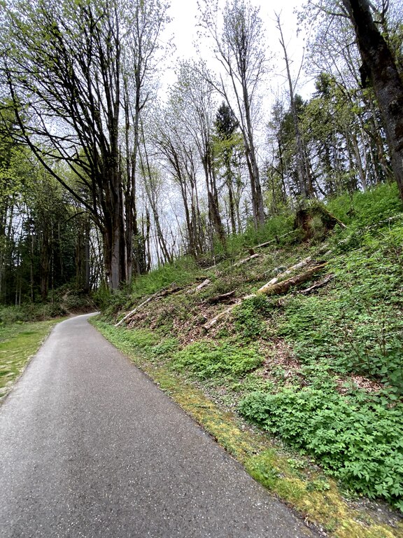 13 Best Things To Do In Alachua, Florida Trip101