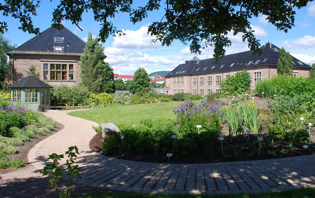 Botanisk hage Oldemors have