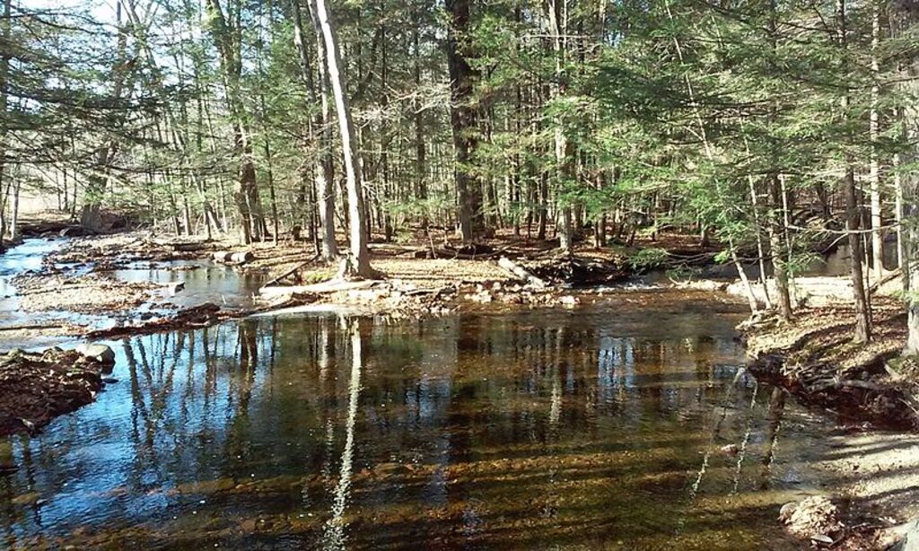 ABCA Amethyst Brook
