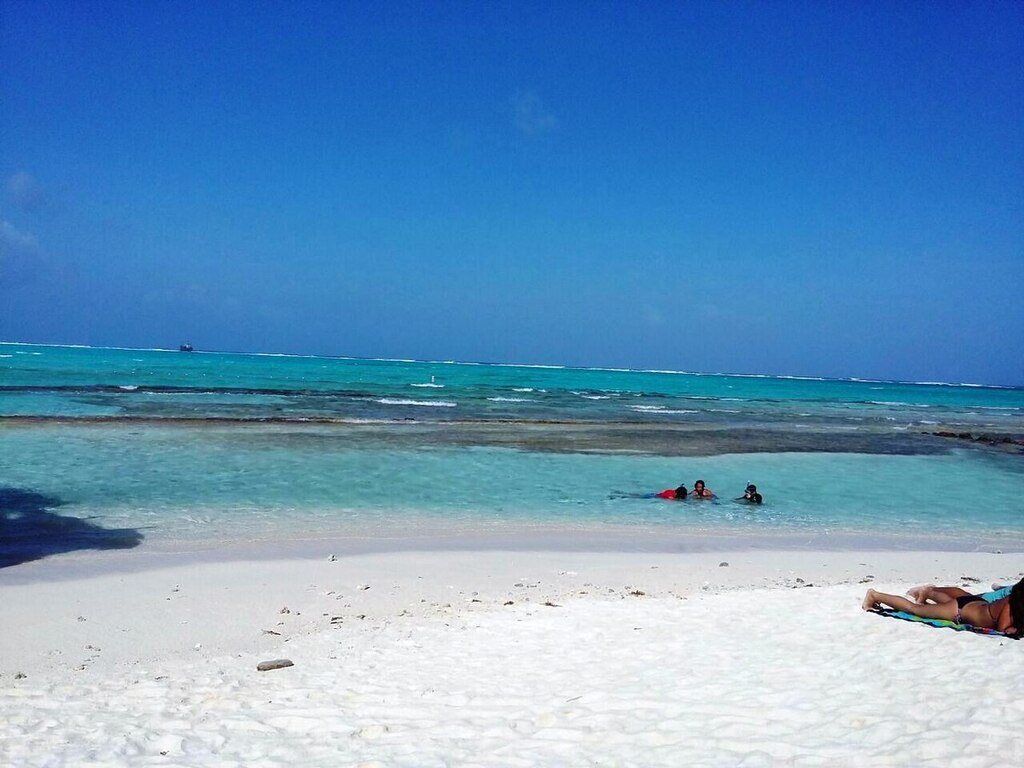 Isla acuario. San Andres Islas Colombia