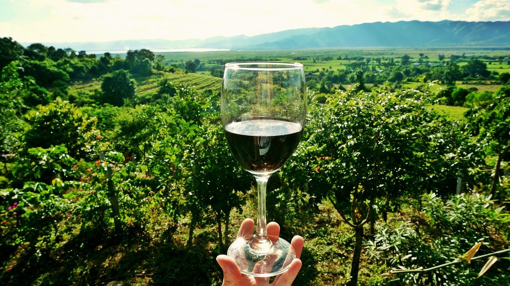Wine tasting