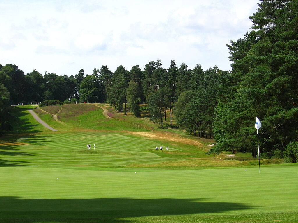 Gold course