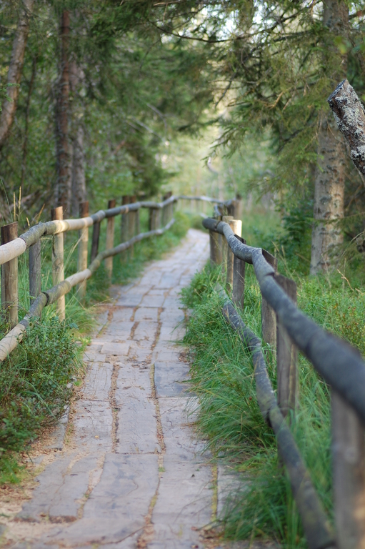 Hohloh Lake Trail