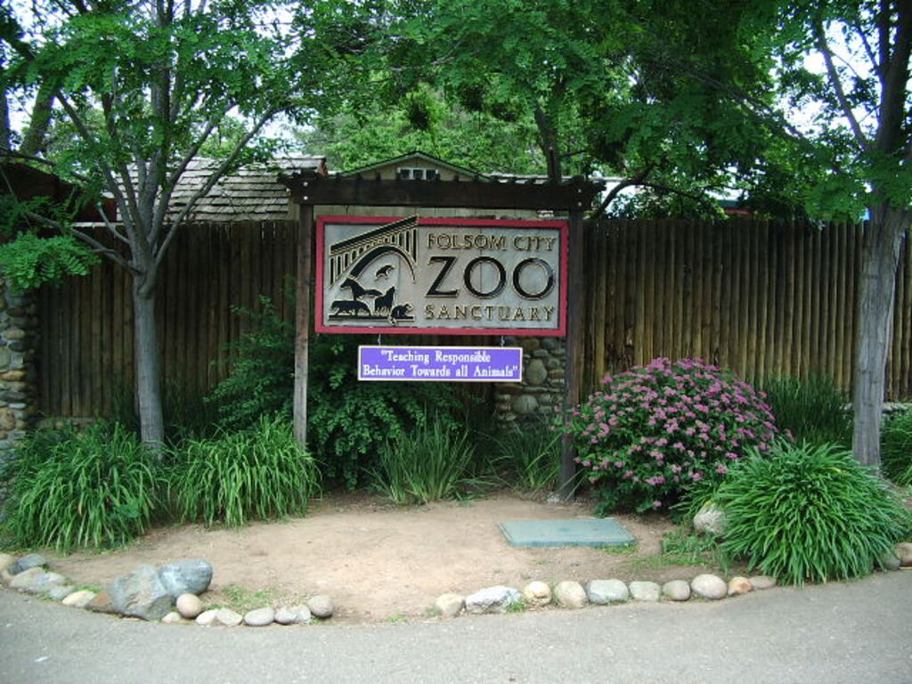 Folsom Zoo May 16 2010 001