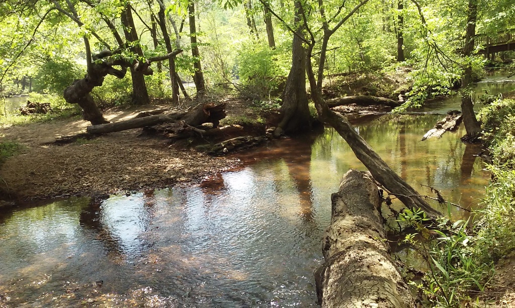 Creek