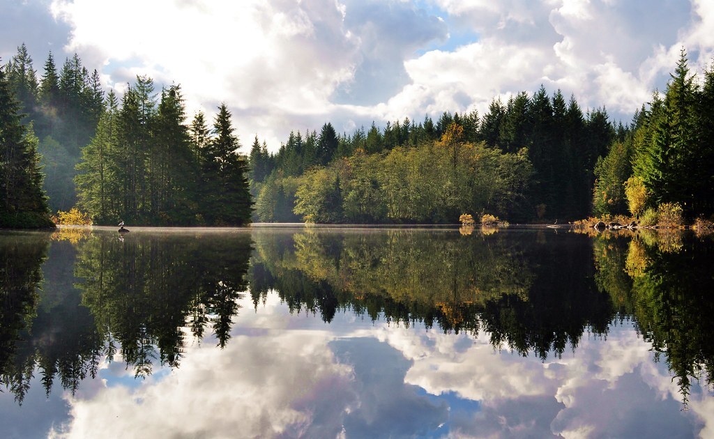 Rice Lake
