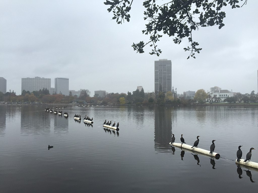 Lake Merritt