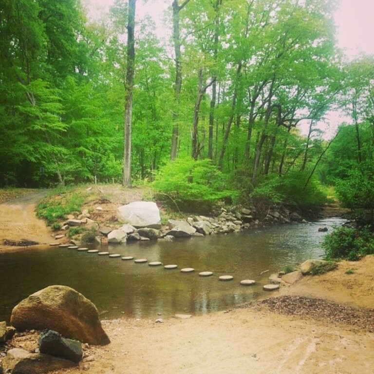 Top 11 Things To Do Near Burke, Virginia Trip101