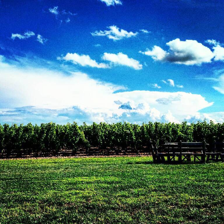 things to do in rochester new york | fingerlakes wine country