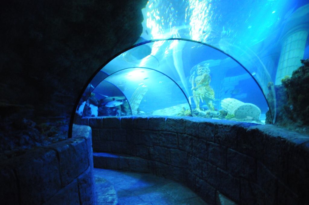 Sea life Porto (12)