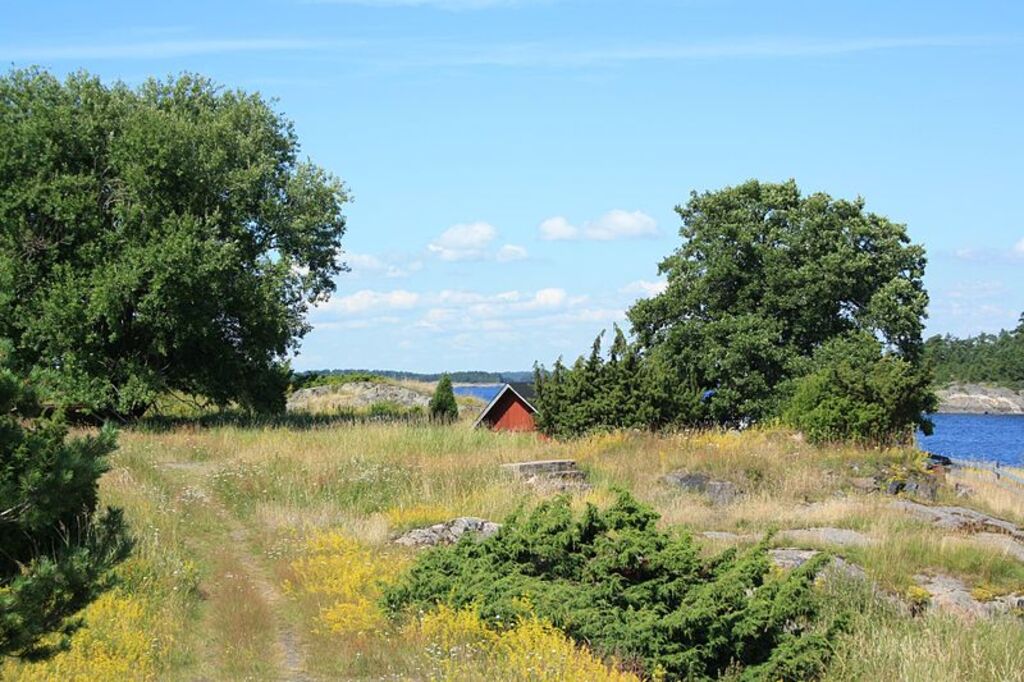 Jussarö meadow