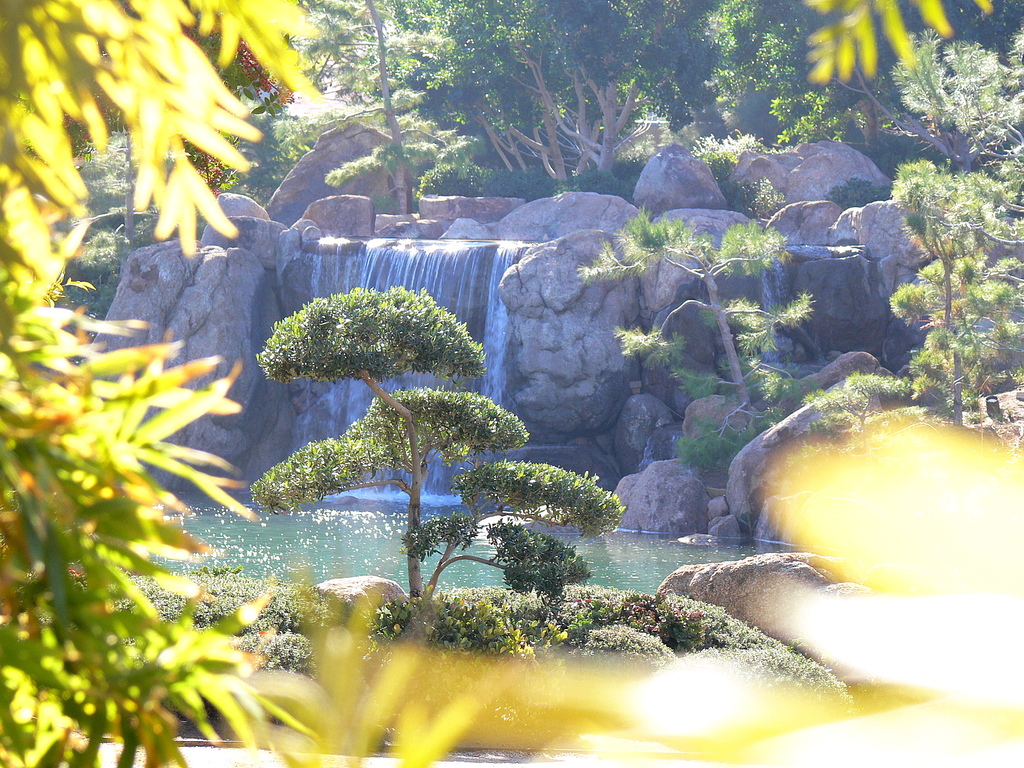Phoenix AZ Ro Ho En Japanese Friendship Garden 50990