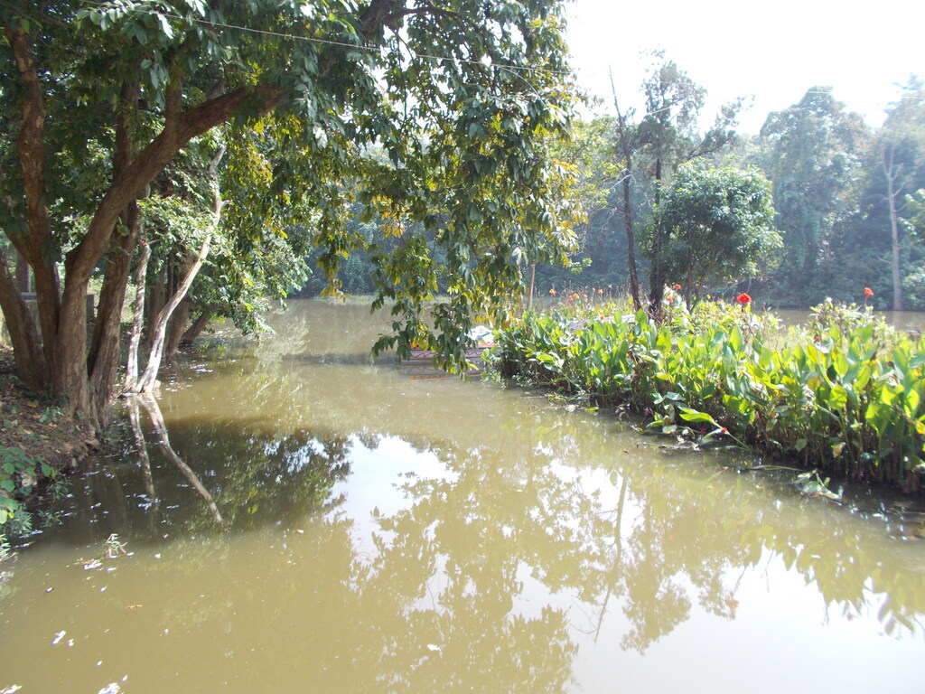 Hazaribagh National Park 101