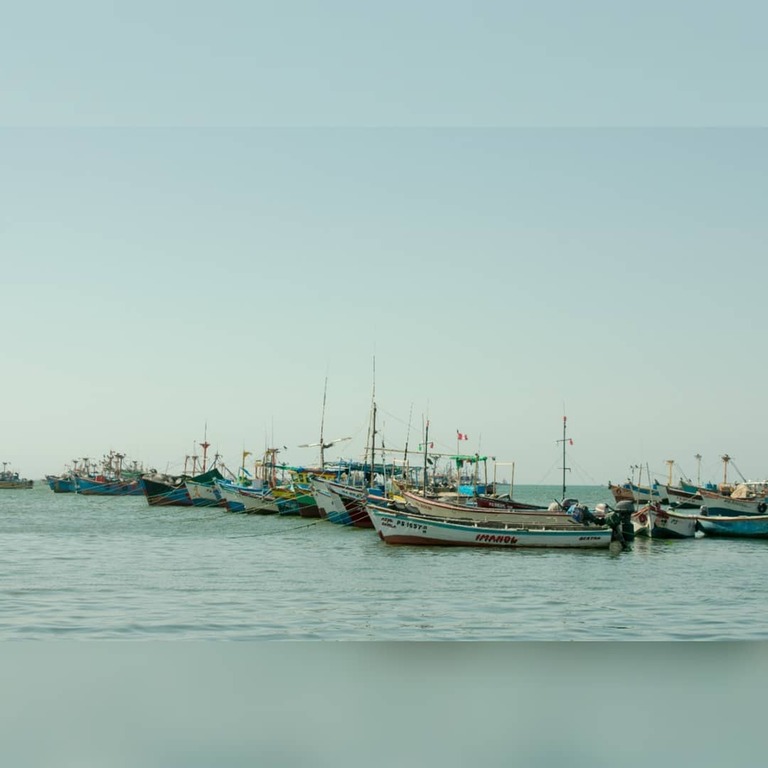 things to do in paracas peru | enjoy a splendid beach getaway at el chaco pisco