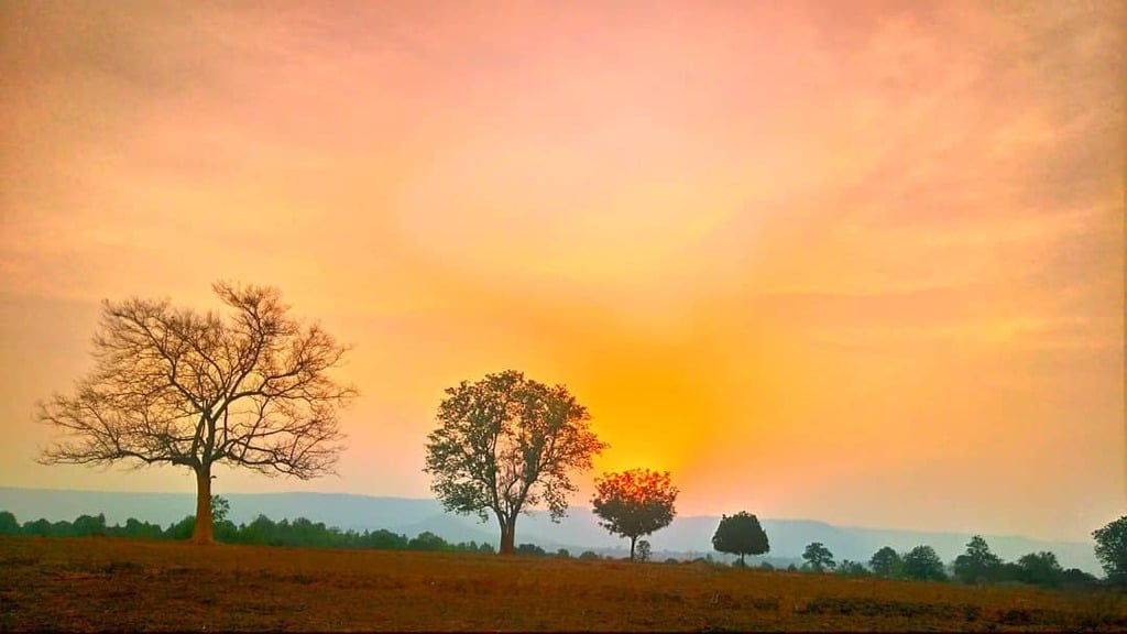 wildlife sanctuaries in jharkhand | mahuadanr wolf sanctuary