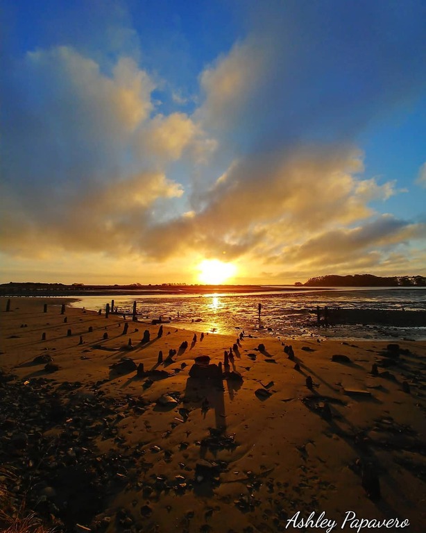 things to do in eureka ca | enjoy the river breeze as you stroll along hikshari trail