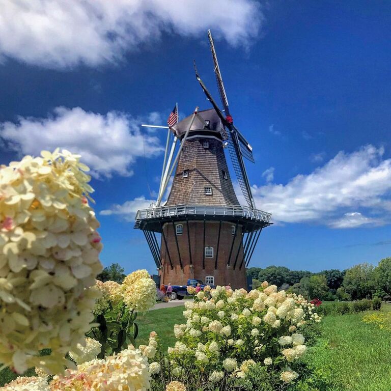 stroll through a colourful palette of tulips at windmill island gardens