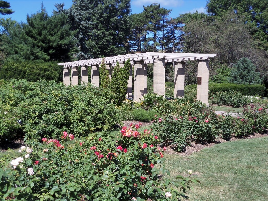 Vander Veer Rose Garden