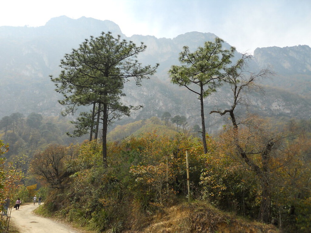Parque Ecológico Chipinque