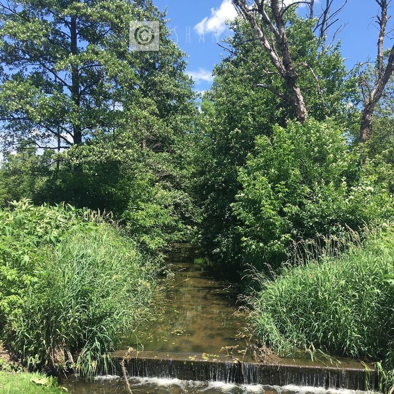 17 Best Things To Do In Downers Grove, Illinois Trip101