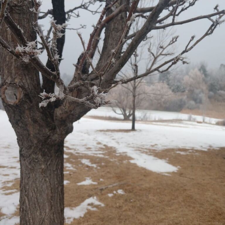 things to do in arvada co | embrace nature's beauty at the majestic view nature center