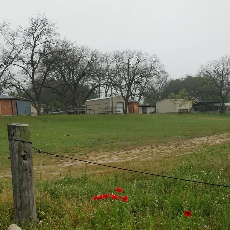 Top 15 Things To Do In Castroville, Texas Trip101