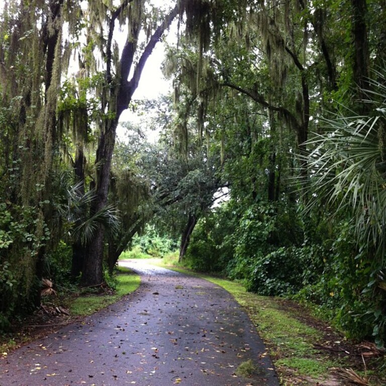 things to do in bartow fl | hike through fort fraser trail