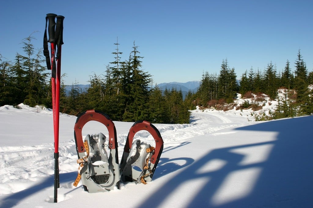 things to do in laval canada | snowshoe in the snowy terrains of bois de la source