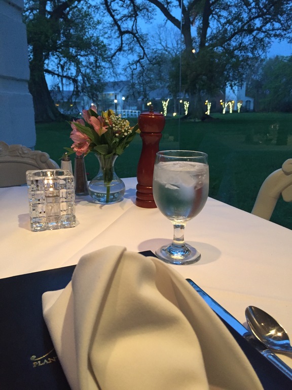Looking out at the massive live oak trees from a romantic table in The Mansion Restaurant