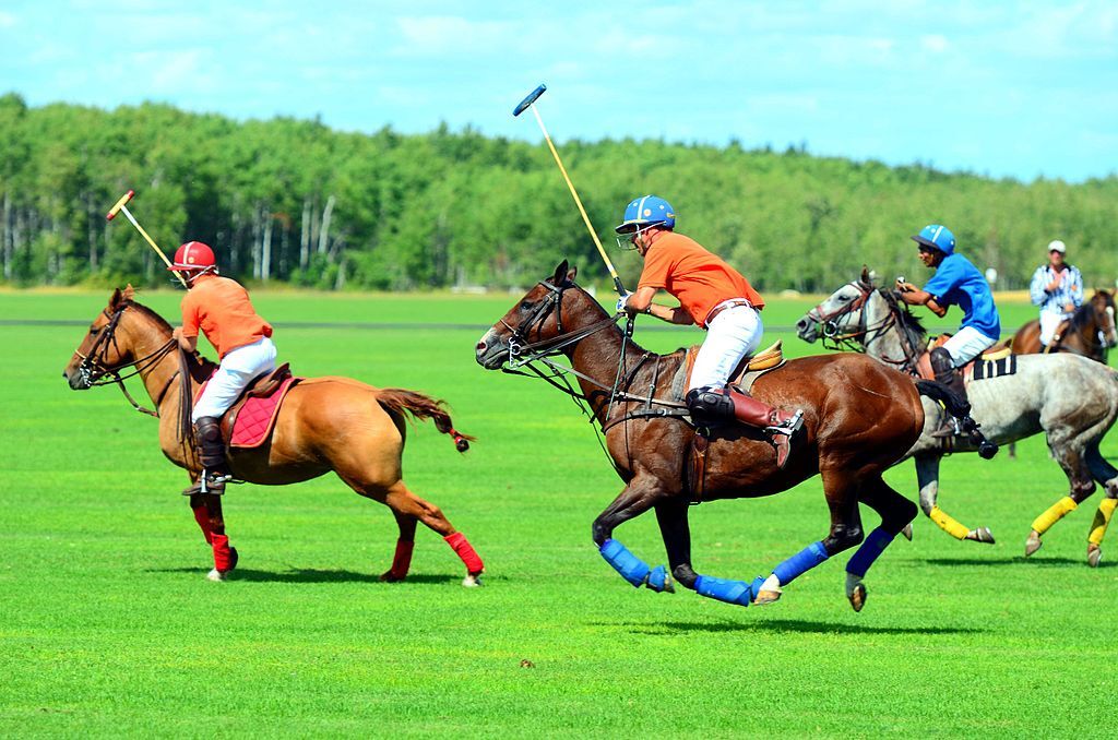 Full gallop polo