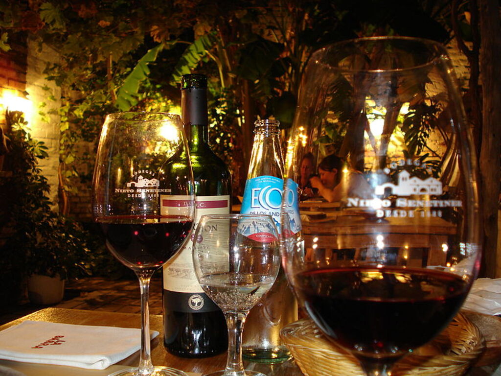 Malbec and water