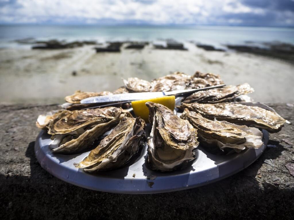 Sample some fresh oysters