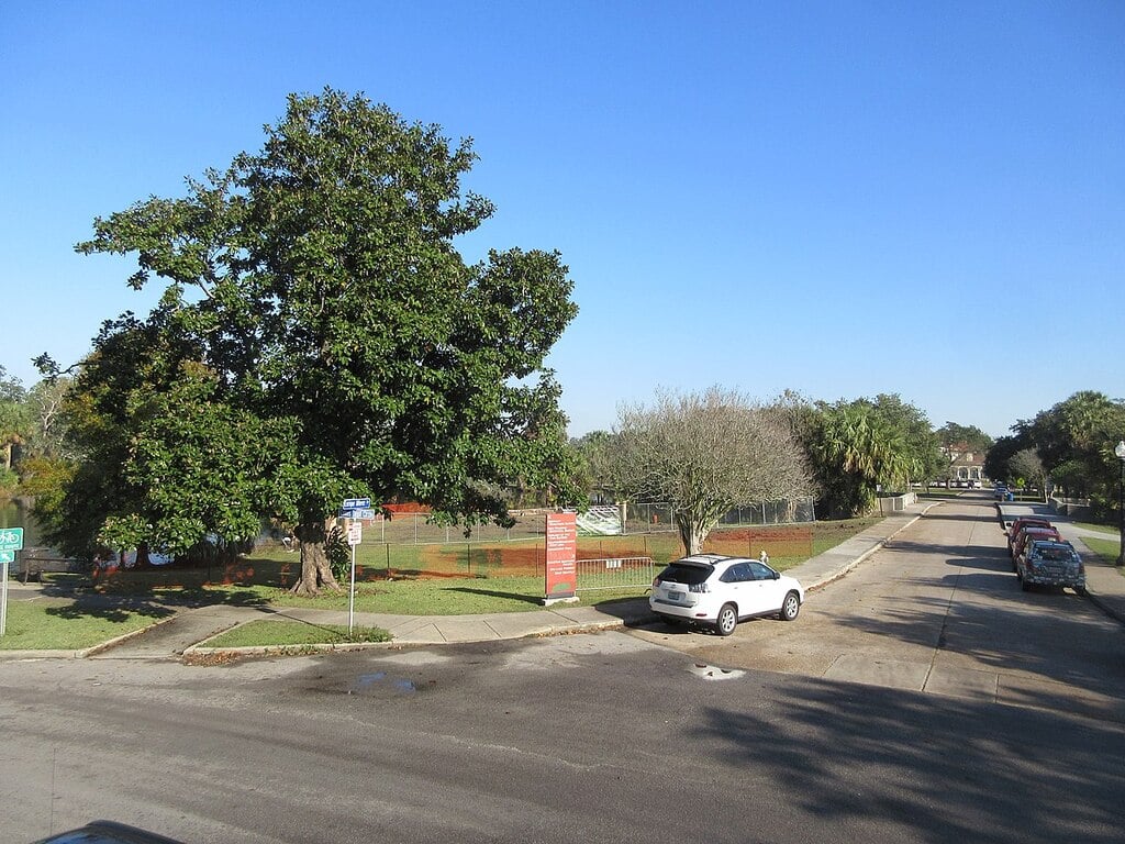 City Park New Orleans December 2017 03