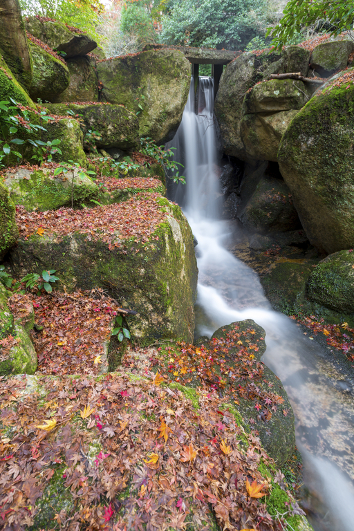Momijidani Park