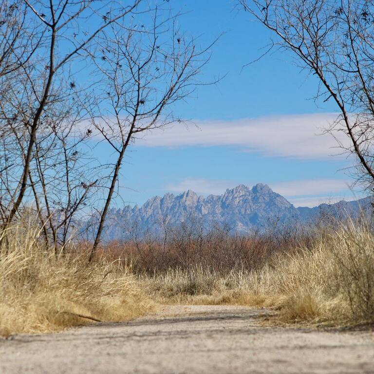 things to do in las cruces nm | witness a spectacular sunset from mesilla valley bosque state park