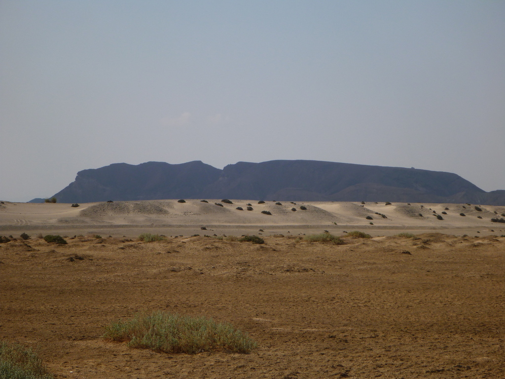Wadi el Gemal National Park Abu Ghusun1