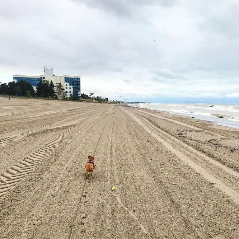 beautiful beaches in ontario | grand bend beach