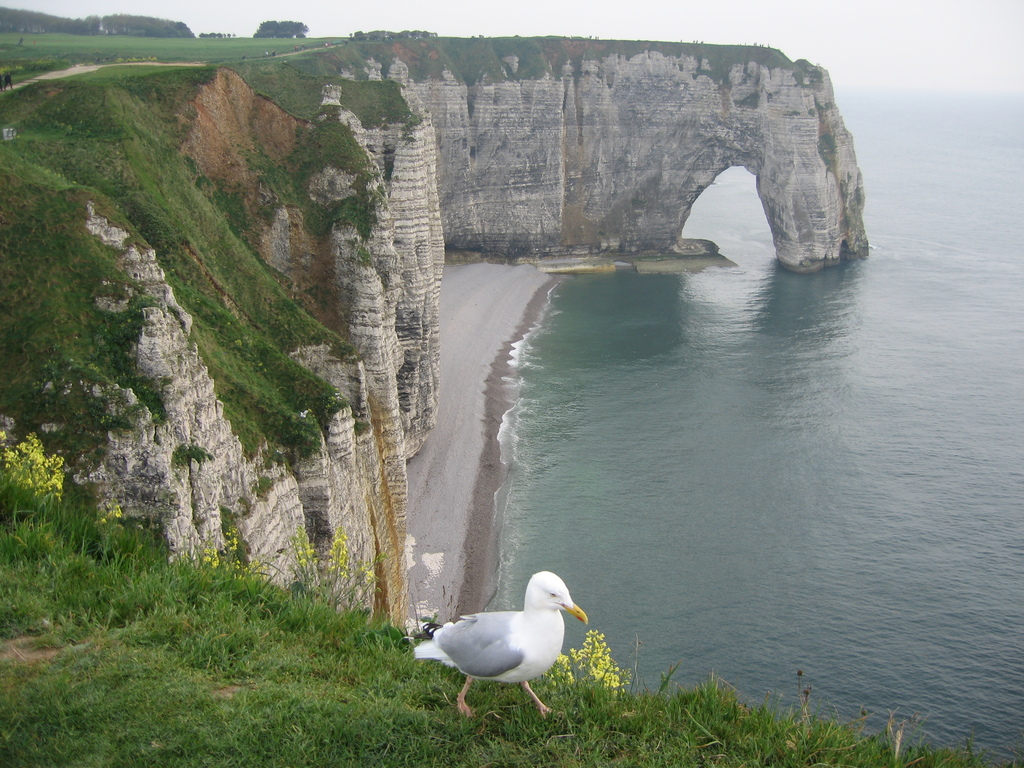 Cliffs of Etretat, Normandy, May 2006