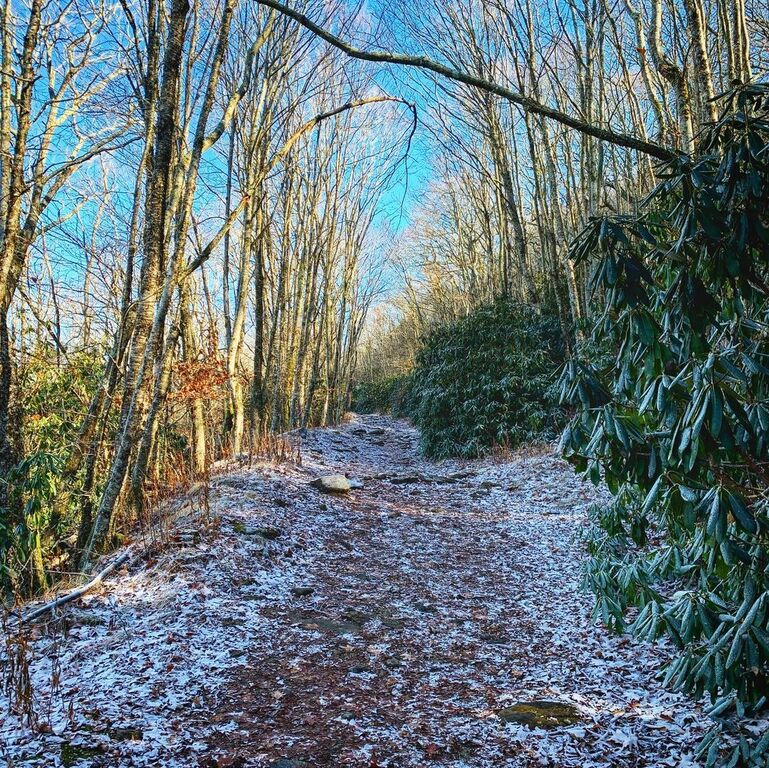 things to do in highlands north carolina | enjoy a two-mile loop hike on the whiteside mountain trail