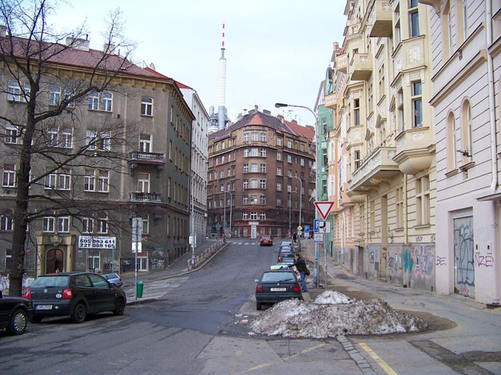 Žižkov a Vinohrady, Vozová