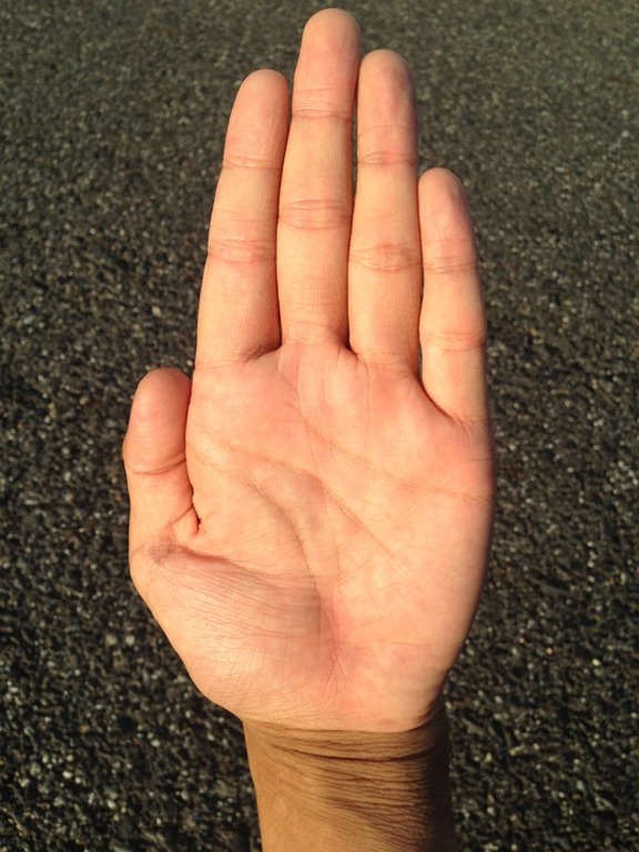 手のひら 手 手相 hand Palm reading