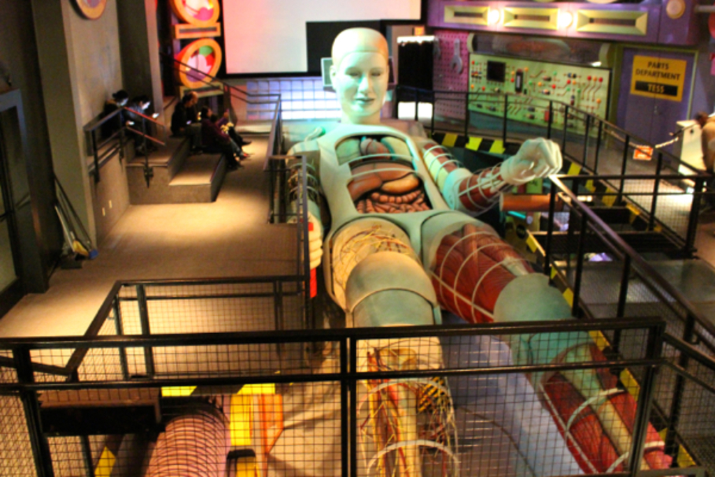 Inside The California Science Centre