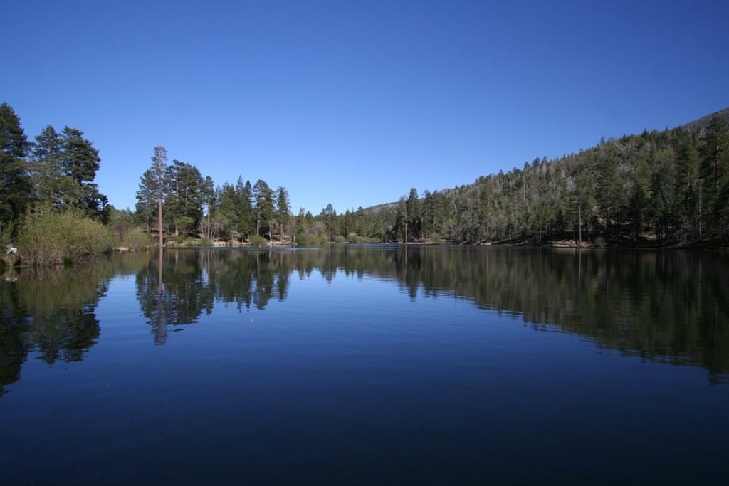 Jenks Lake 