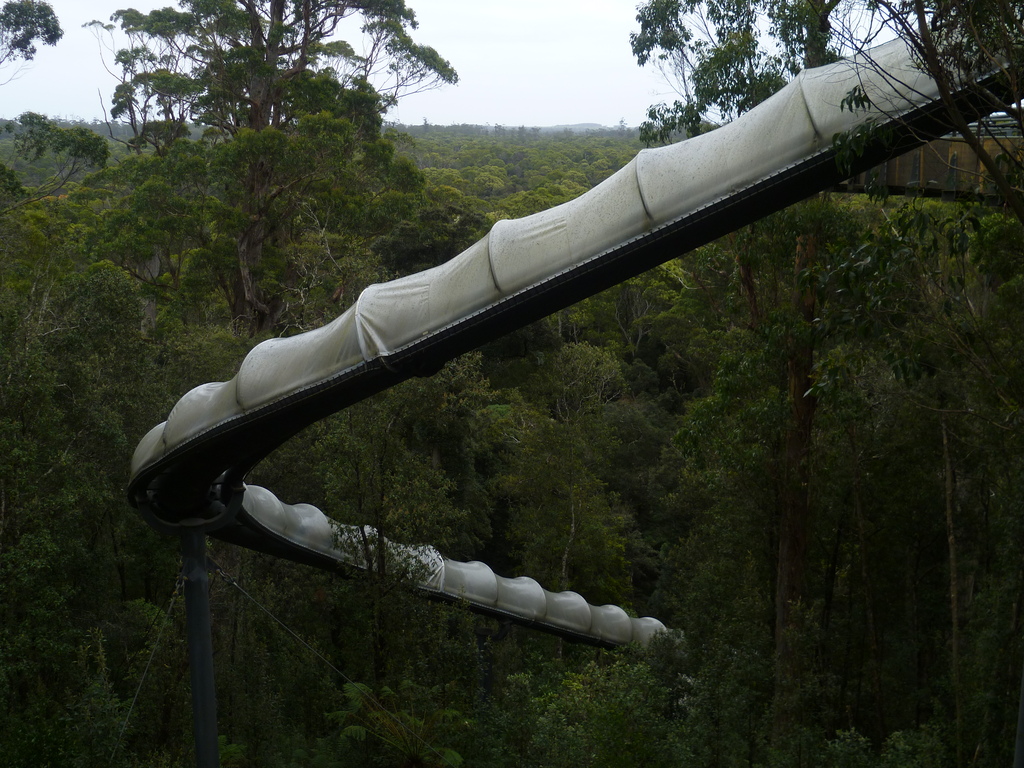 Slide - Dismal Swamp