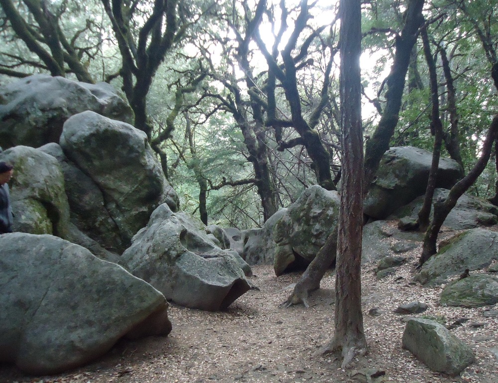 Castle Rock State Park in California with rock formations