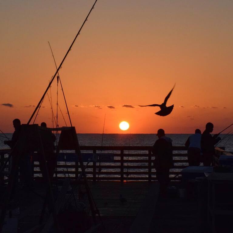 things to do in lake worth florida | fish off the lake worth pier